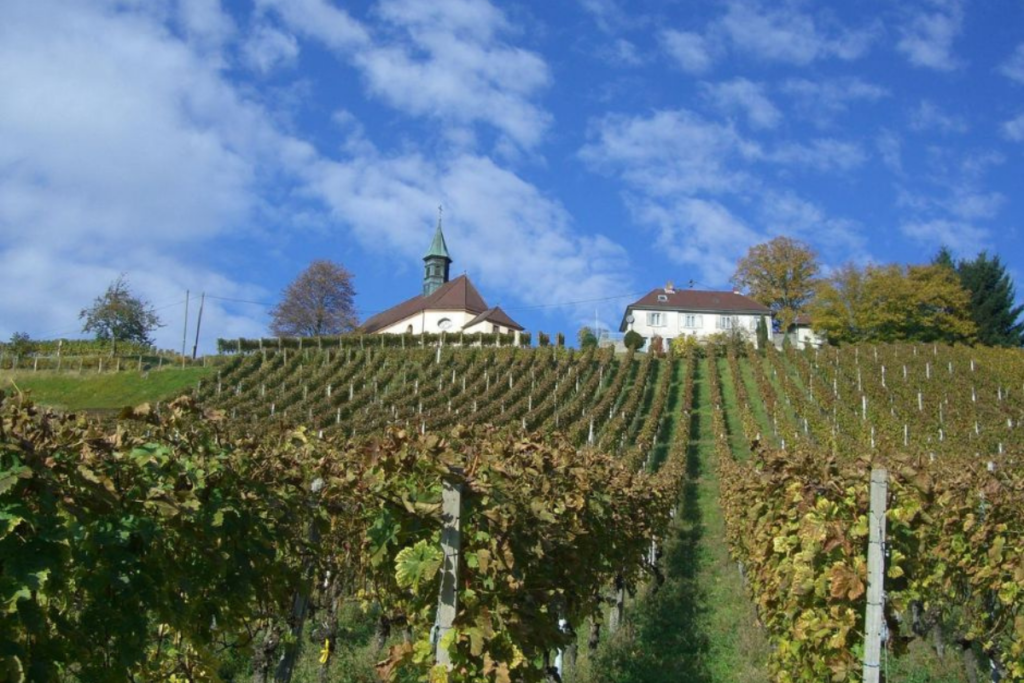 Ortenaukreis